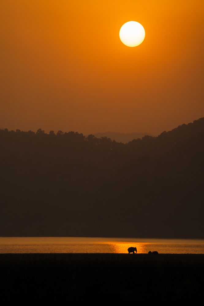 Photograph by Ayan Bhattacharya