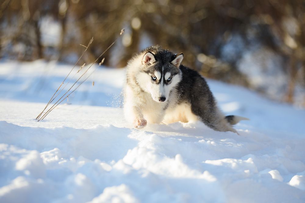 Photograph by Dasha Zueva