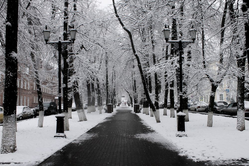 Photograph by Алия Кутлова
