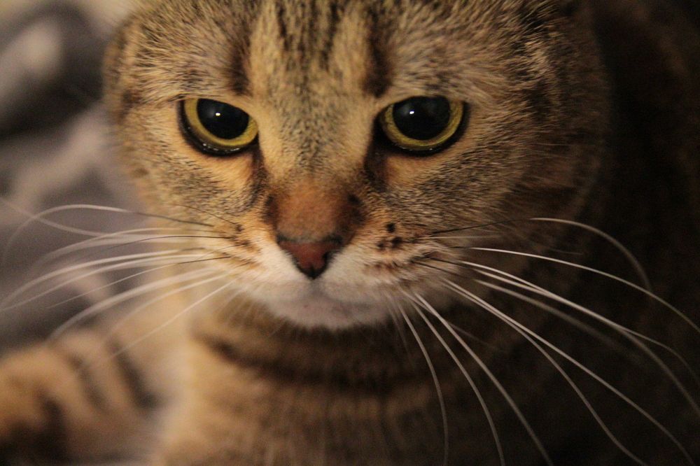 Photograph by Виктория