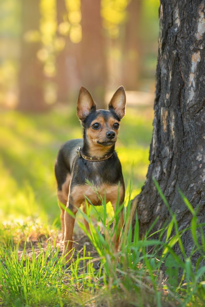 Photograph by Марина Богатырева