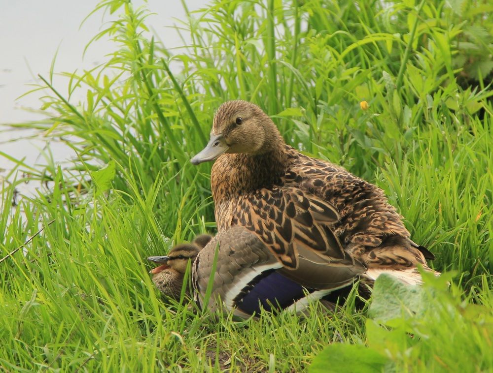 Photograph by Виктория