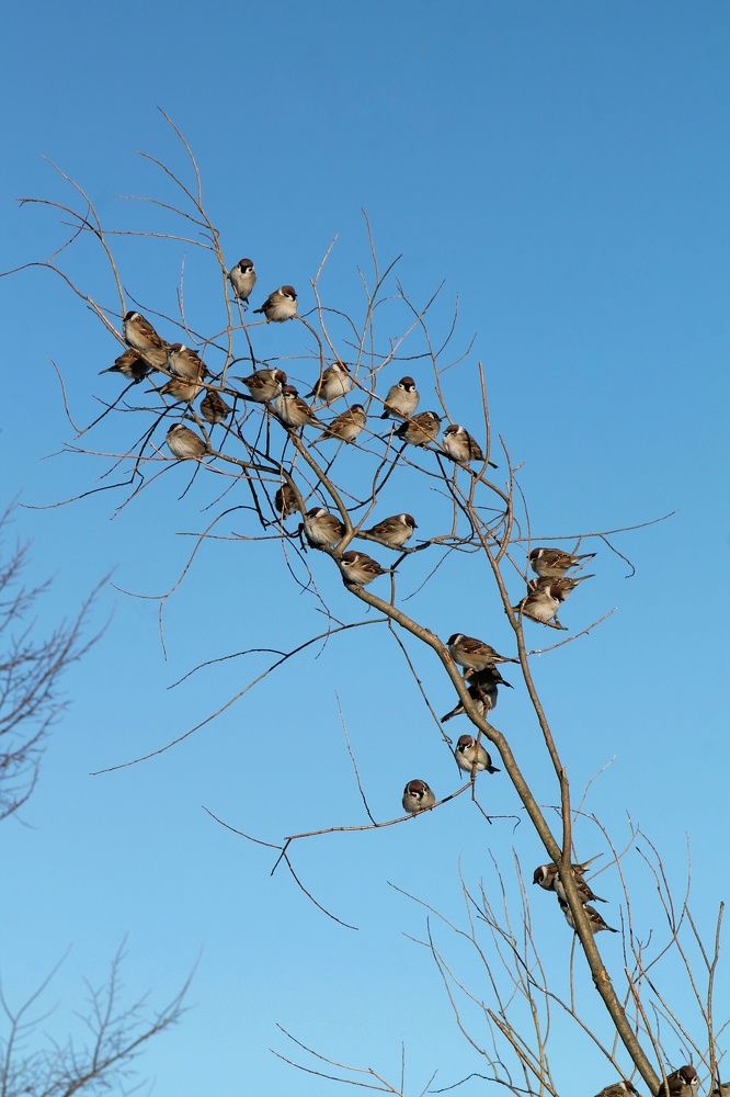 Photograph by Виктория