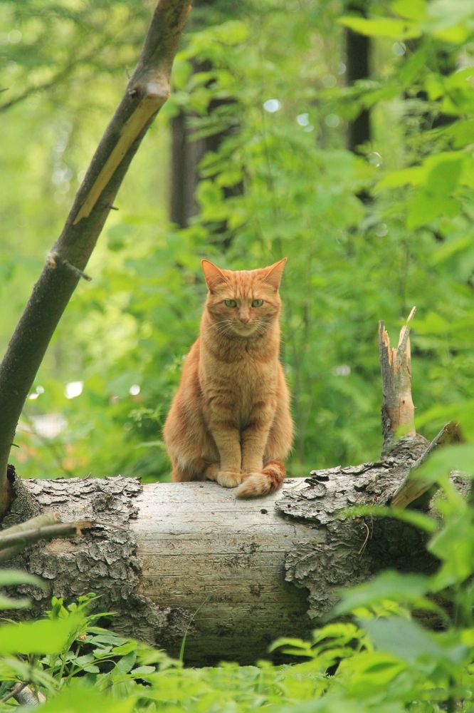 Photograph by Виктория