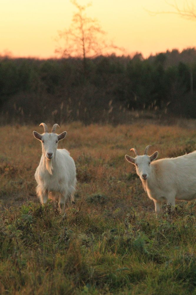 Photograph by Виктория