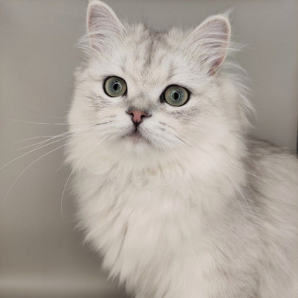 Photograph by Анна Белоусова