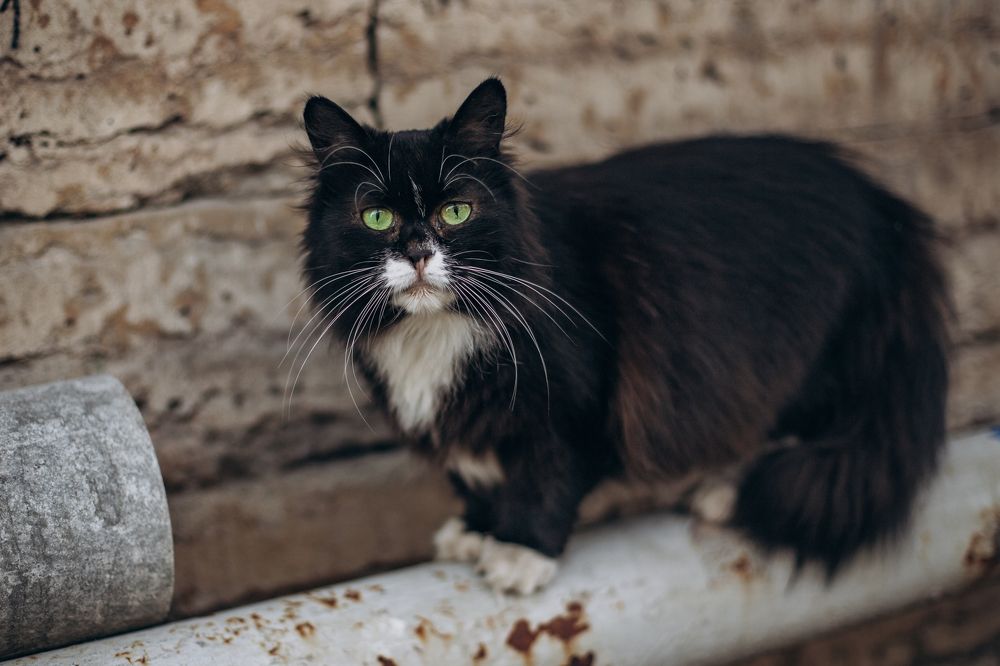 гроза района