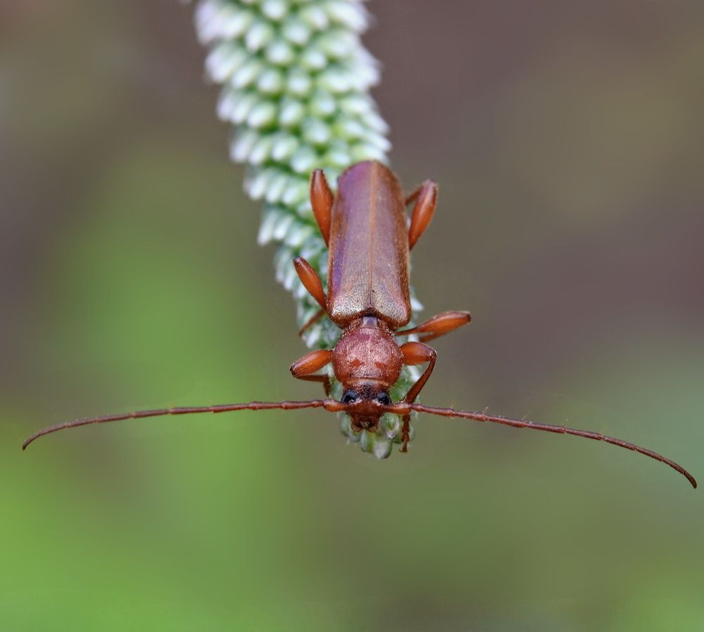 Photograph by Игорь Осипов