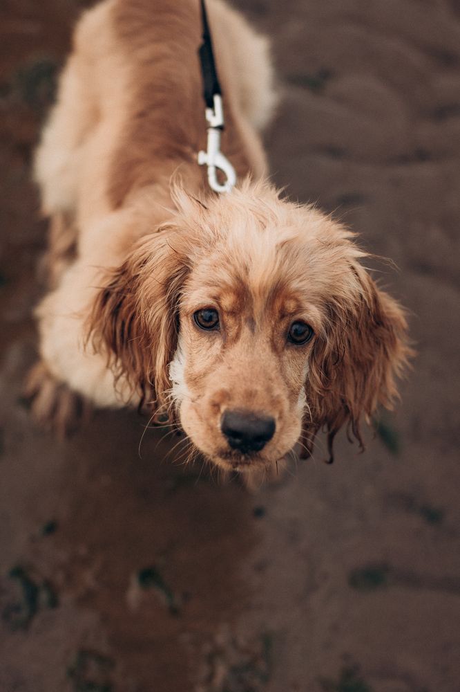 Photograph by Марина Егорова