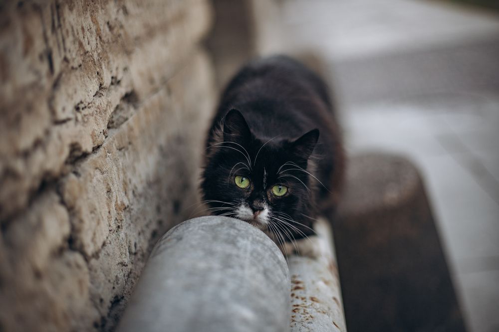 гроза района