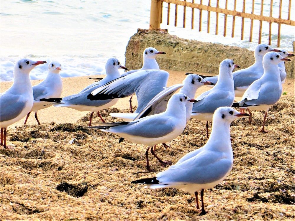 Photograph by Галина