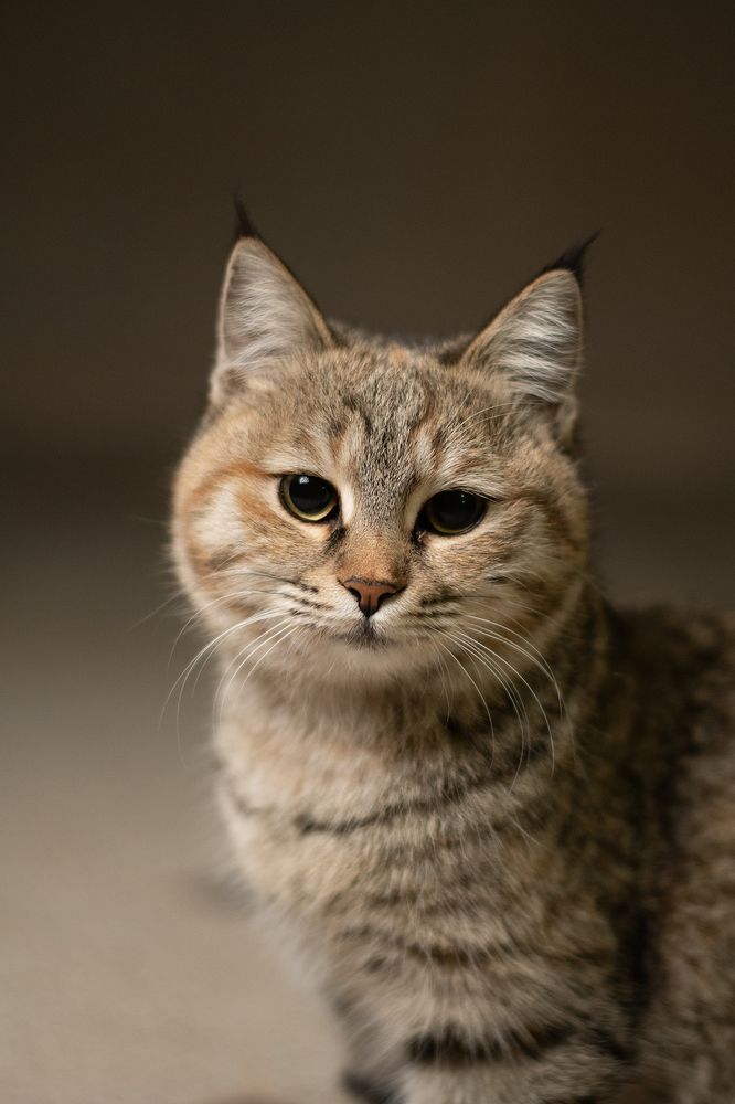 Photograph by Eslami nia Abolfazl