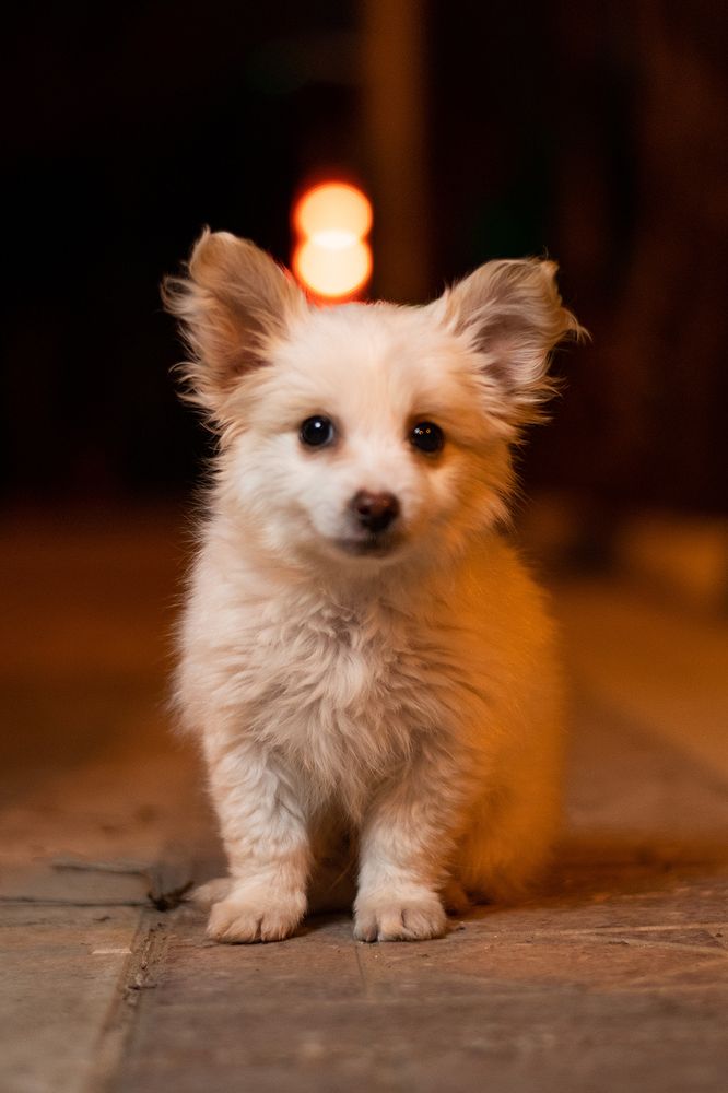 Photograph by Eslami nia Abolfazl