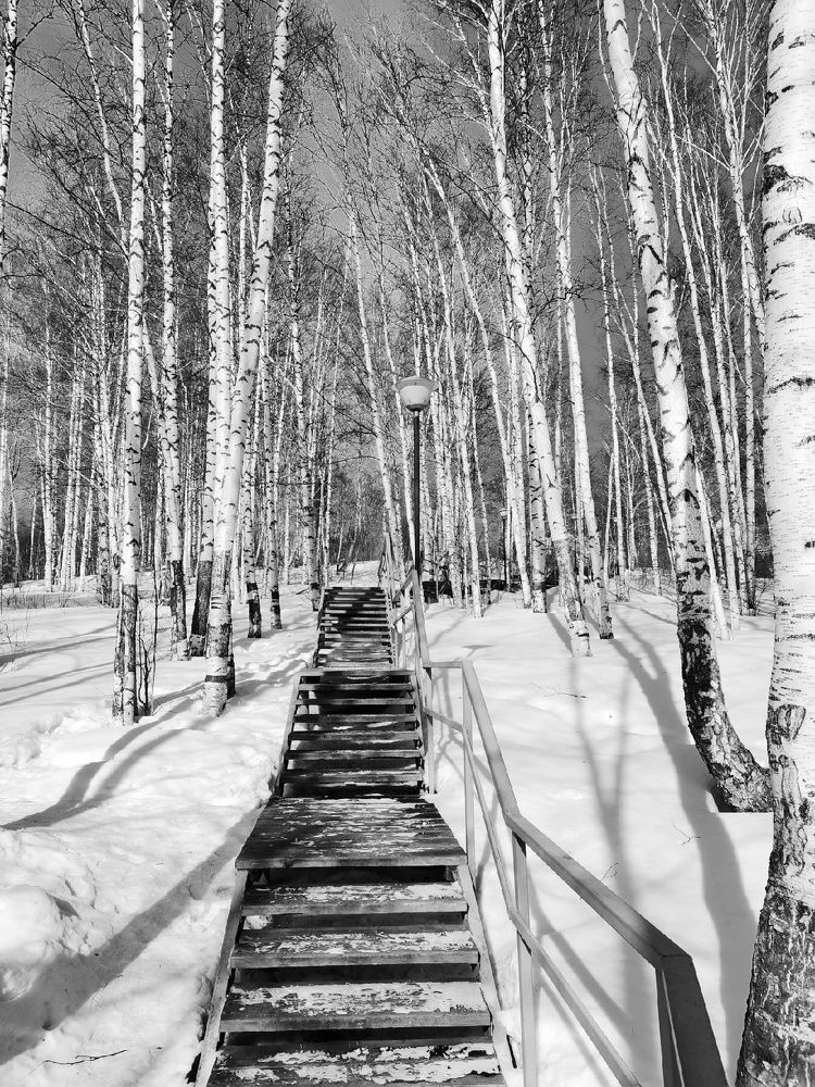 Photograph by Наталья Круглова