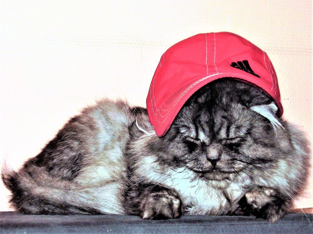 Photograph by Галина