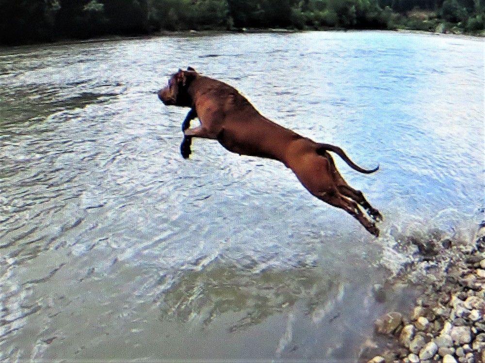 Photograph by Галина