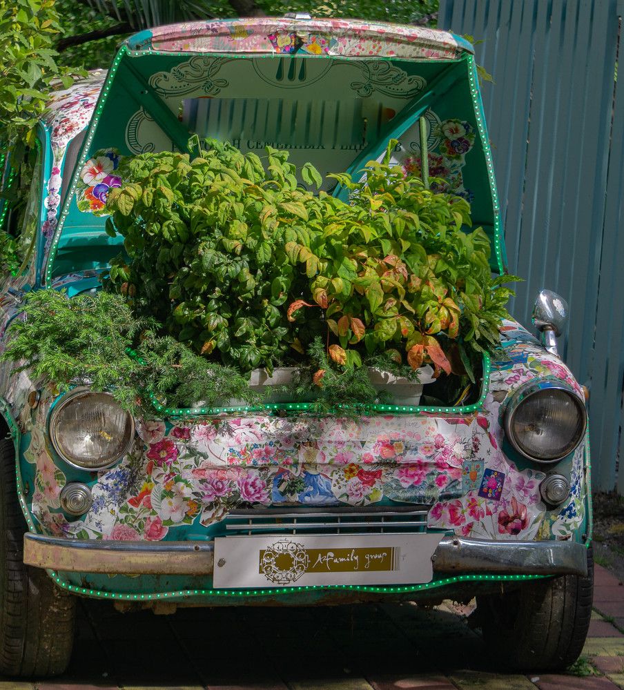 Photograph by Юрий Можейко