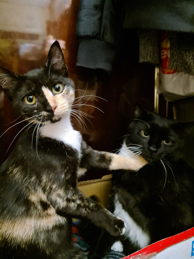 Photograph by Сергей Мамалюк