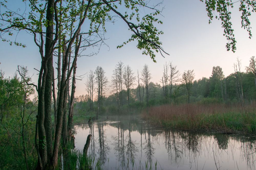 Photograph by Орлова Сетлана