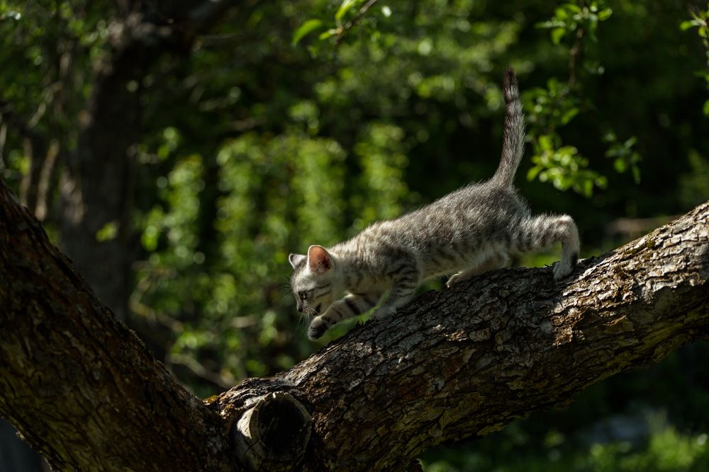 Photograph by Юрий Силин