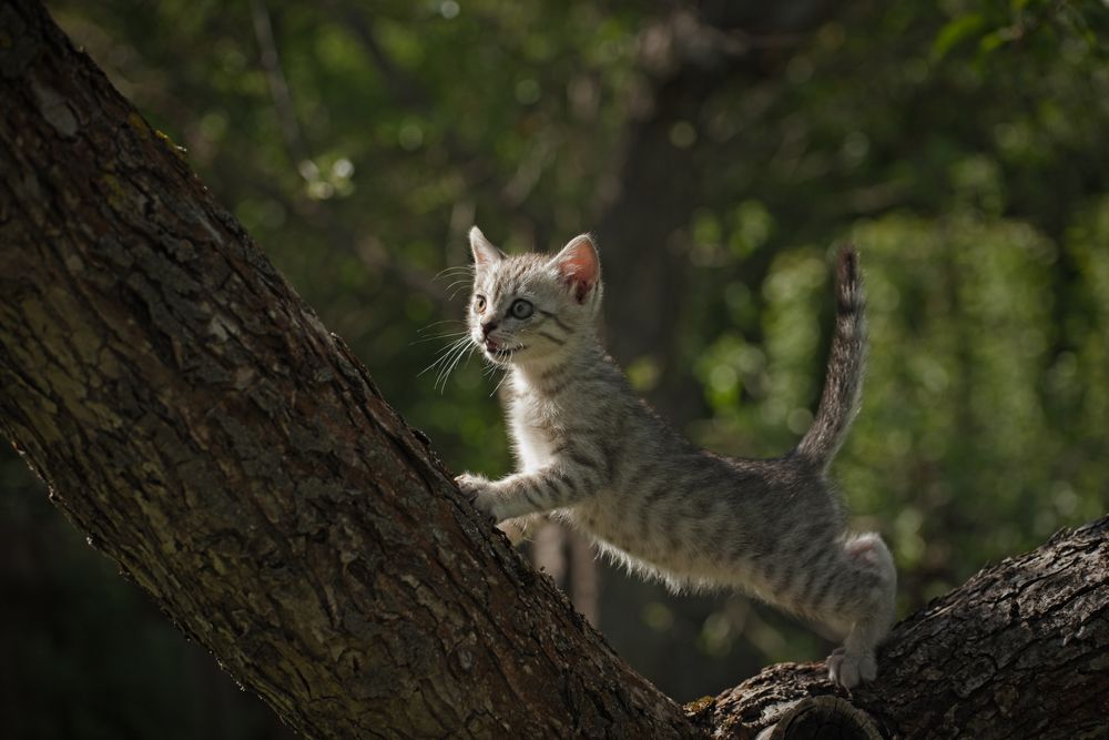 Photograph by Юрий Силин