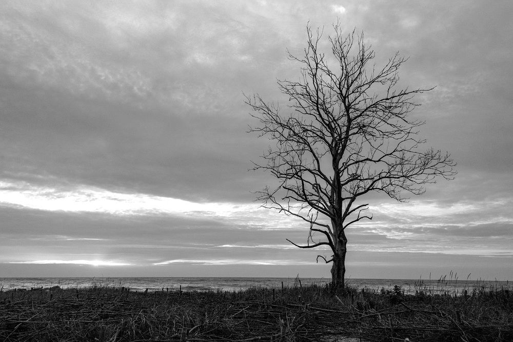 Photograph by Оксана Кузнецова