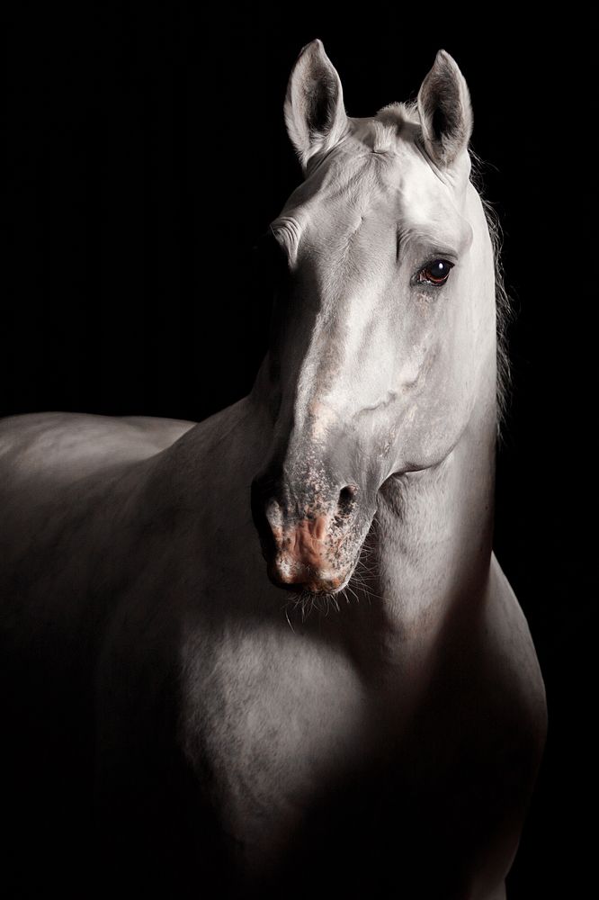 Photograph by Дарья Ералева