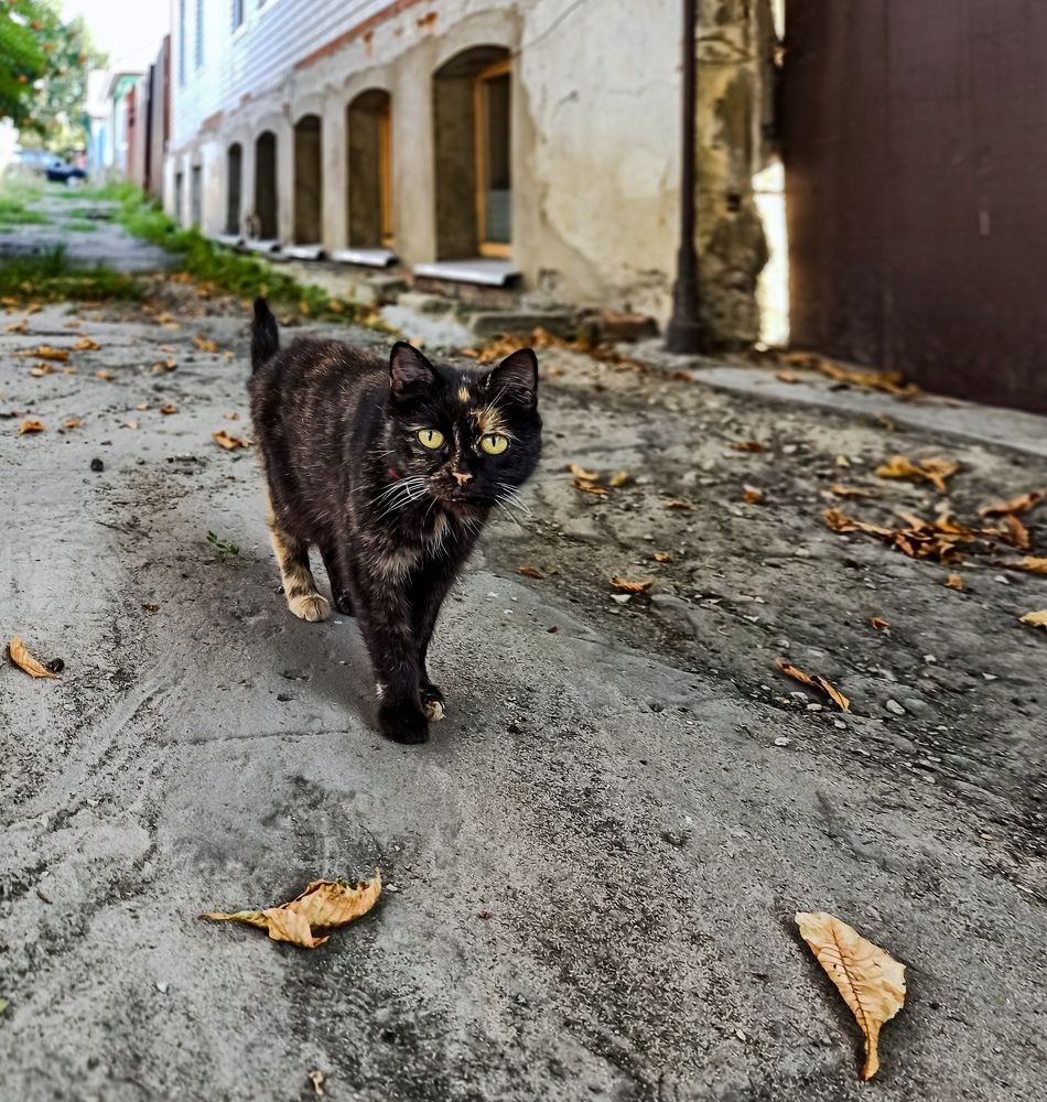 Photograph by Елена Малютина