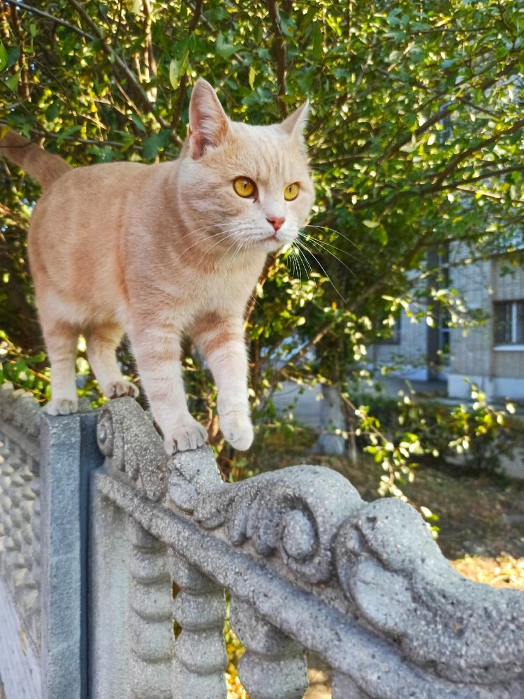 Photograph by Елена Малютина