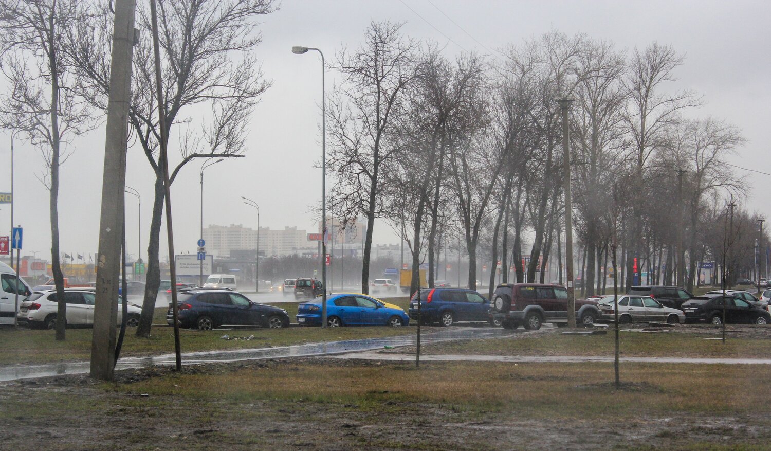Photo #7673200