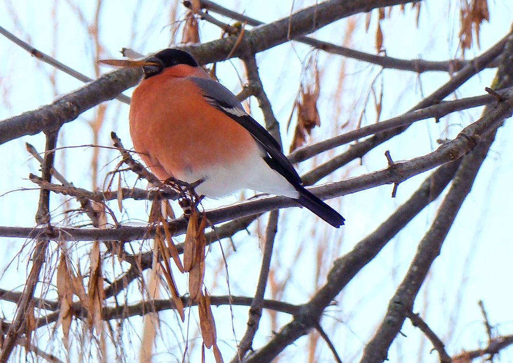 Photograph by Герман