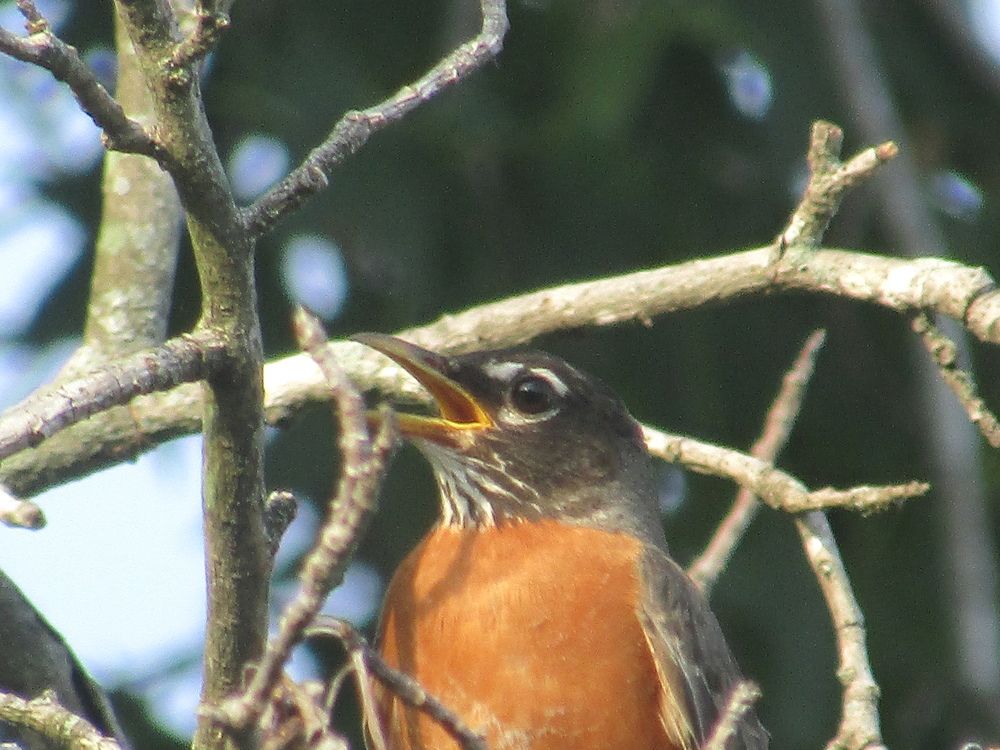 Photograph by Ethan Williams