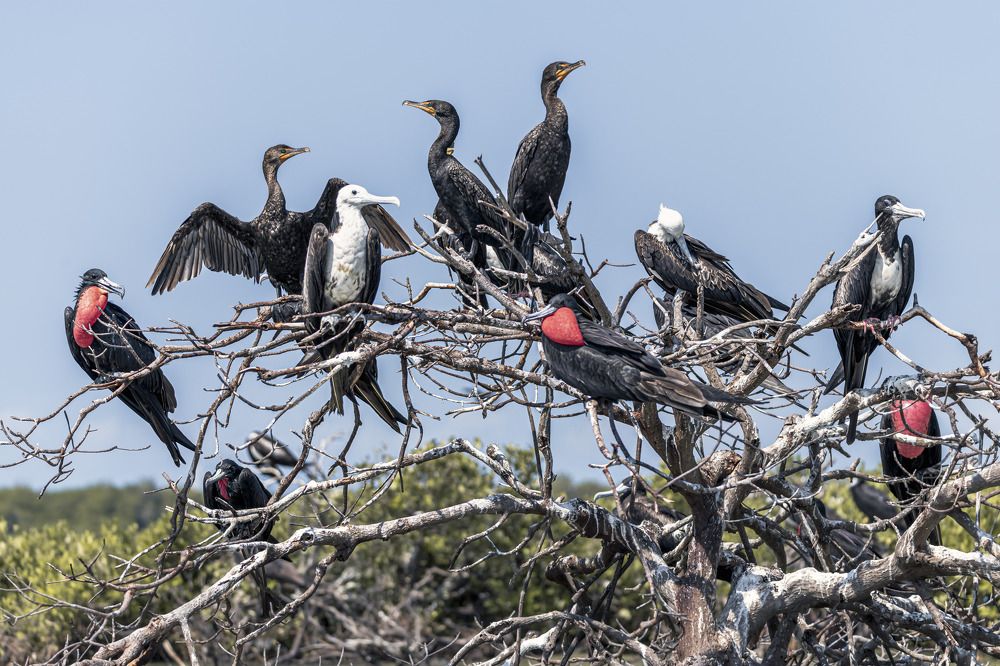 Photograph by Joaquin Silva