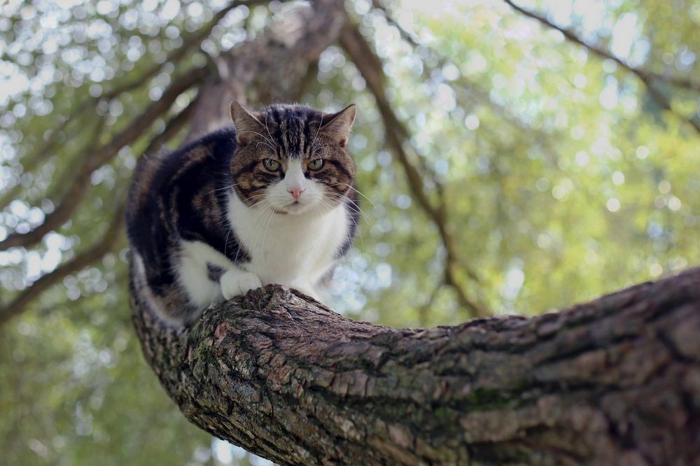 Мне с верху видно все, ты так и знай.