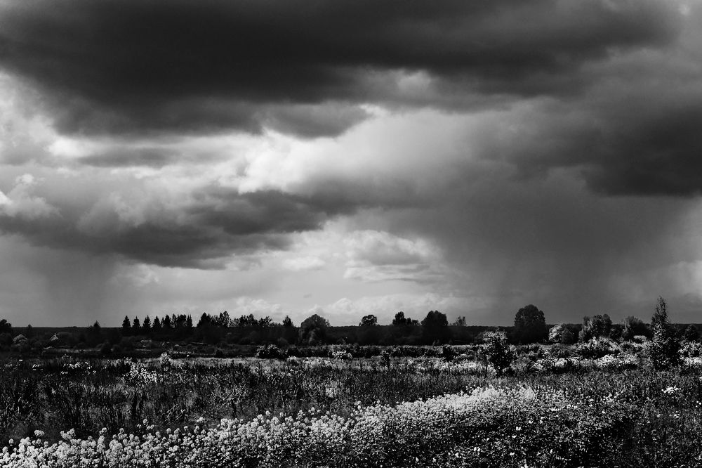 Photograph by Шаргородская Марина