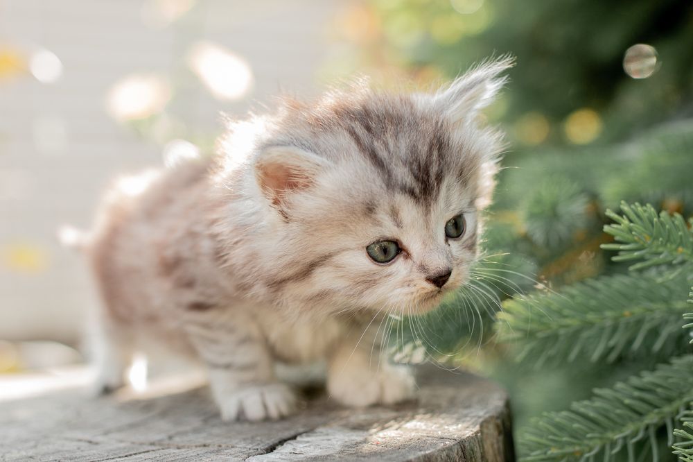 Photograph by Валерия Зайцева