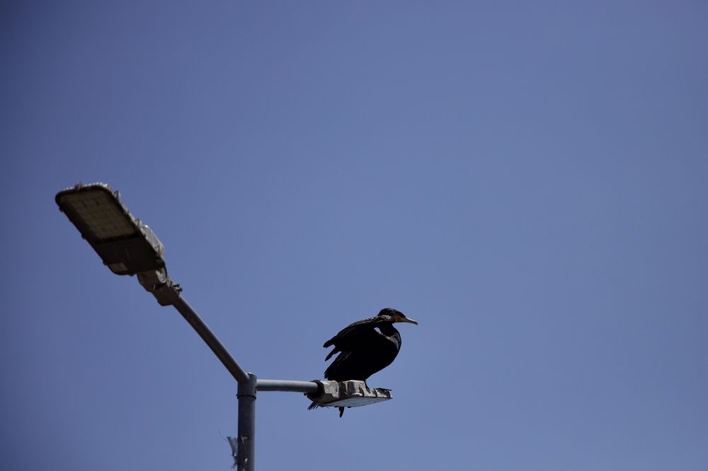 Photograph by Екатерина Власенко