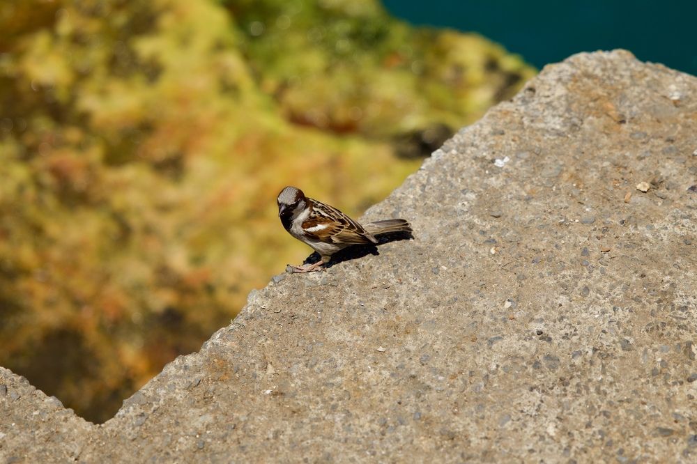 Photograph by Екатерина Власенко