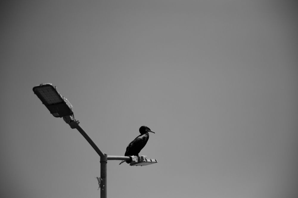 Photograph by Екатерина Власенко