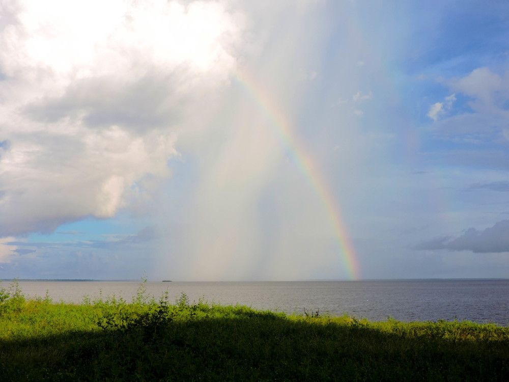 Photograph by Patrícia Helena