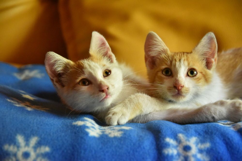 Photograph by Anna Zelinskaya