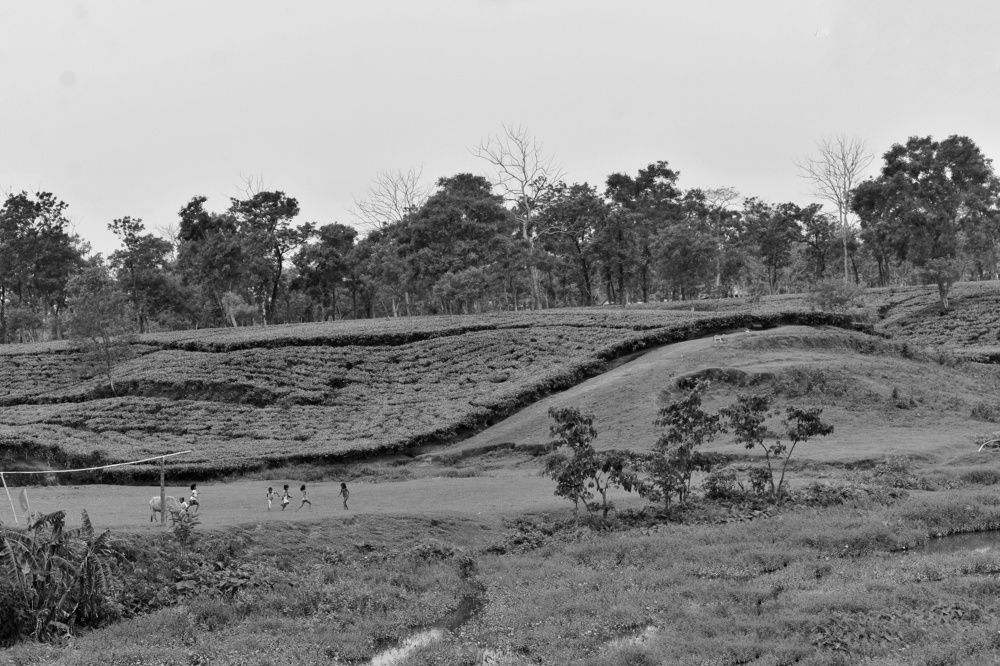 Photograph by Sameer Das