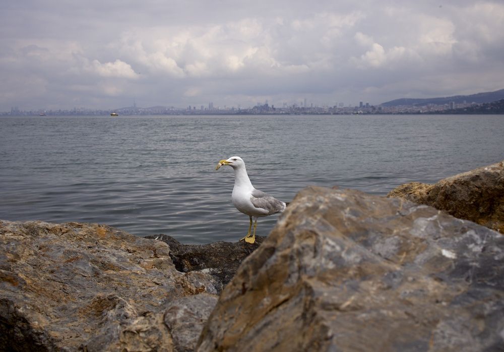 Photograph by Екатерина Власенко