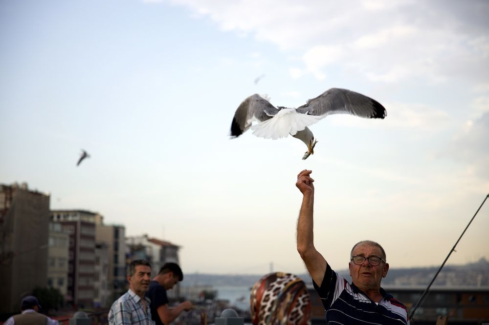 Photograph by Екатерина Власенко