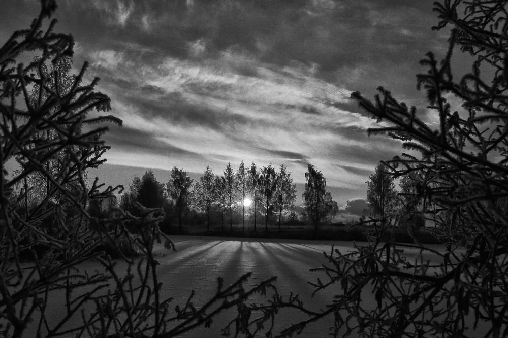 Photograph by Моложников Юрий