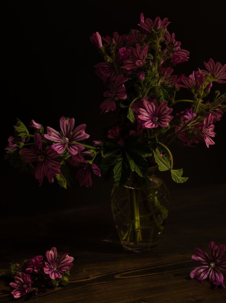 Photograph by Nataliya Povarova