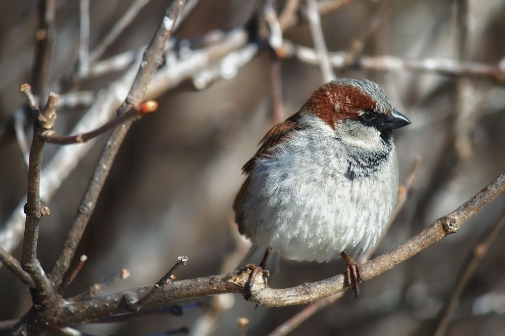 Photograph by Антон Дроздов