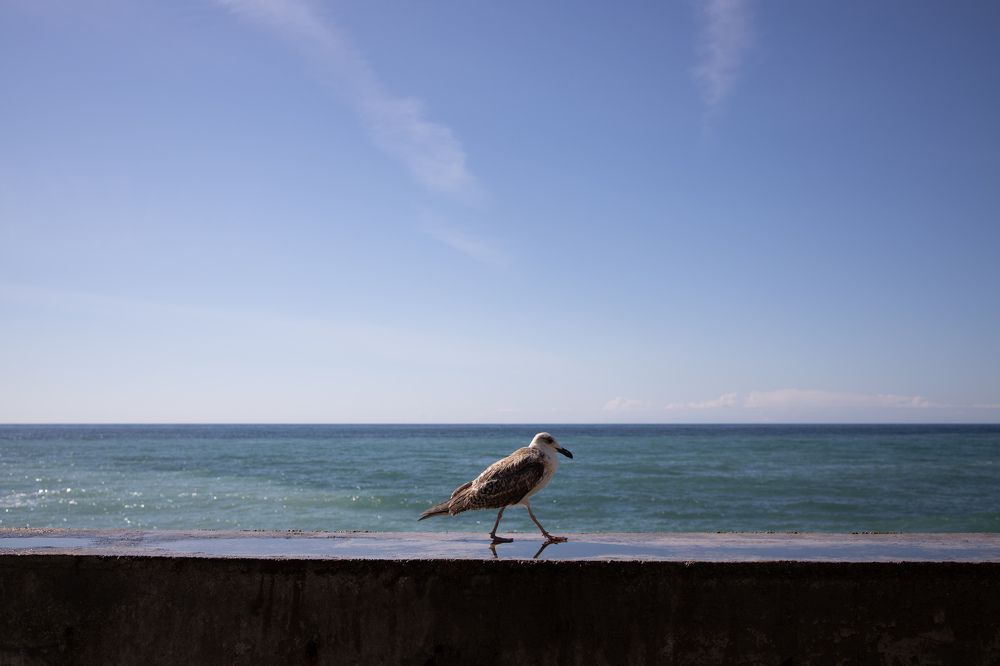 Photograph by Екатерина Власенко