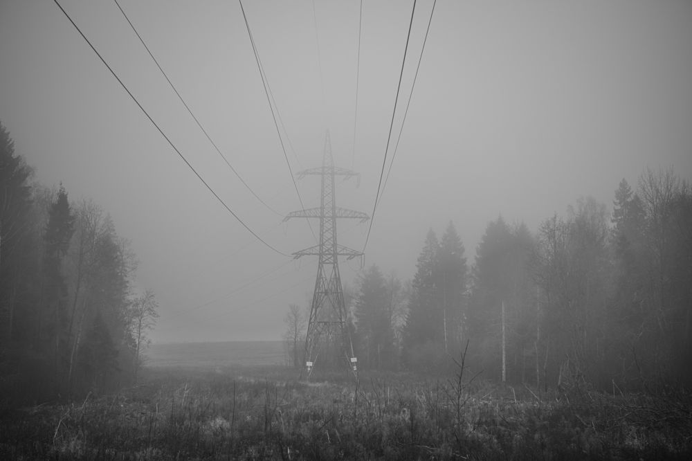 Фотография автора Екатерина Лапаева