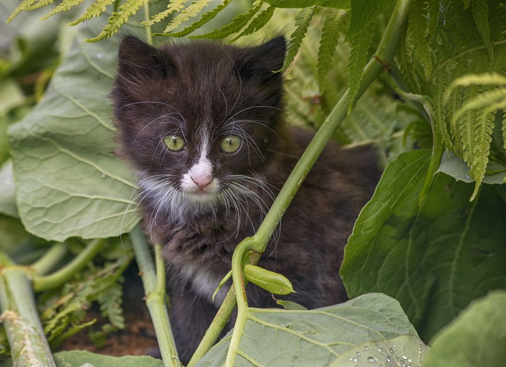 Let's play hide and seek